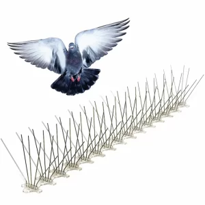 شركة طارد حمام بالرياض 1 شركة طارد حمام بالرياض