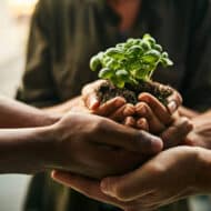 مشاتل شمال الرياض