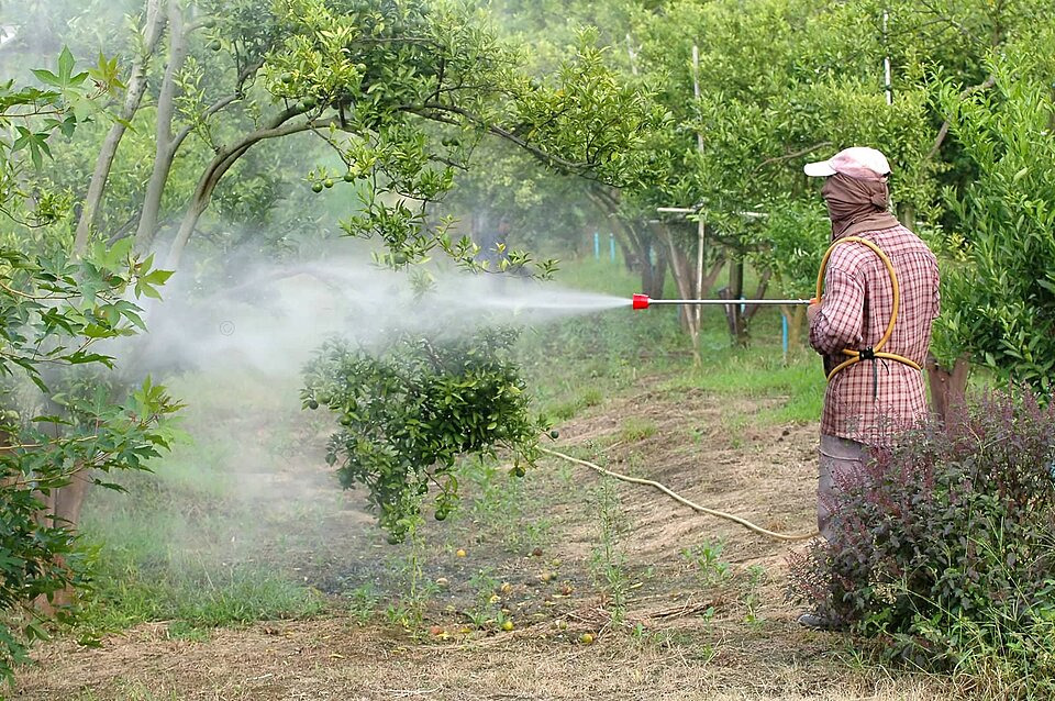 رش المبيدات في المنزل 1 رش المبيدات في المنزل